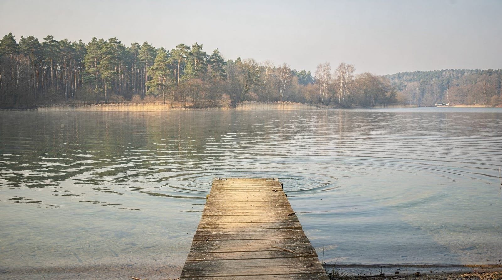 Bad Saarow — Balneario a orillas del Scharmützelsee
